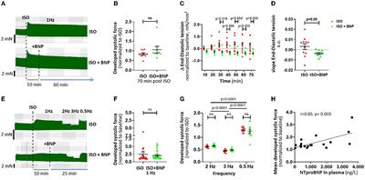 Effects of BNP and Sacubitrilat/Valsartan on Atrial Functional Reserve and Arrhythmogenesis in Human Myocardium